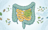 O QUE É SIBO? em Documentários Ilustração do sistema digestivo focada no intestino delgado e grosso, com representação de bactérias e microrganismos.