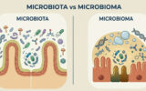 Infográfico Microbiota vs. Microbioma comparando microrganismos vivos e o seu ambiente genético no intestino.