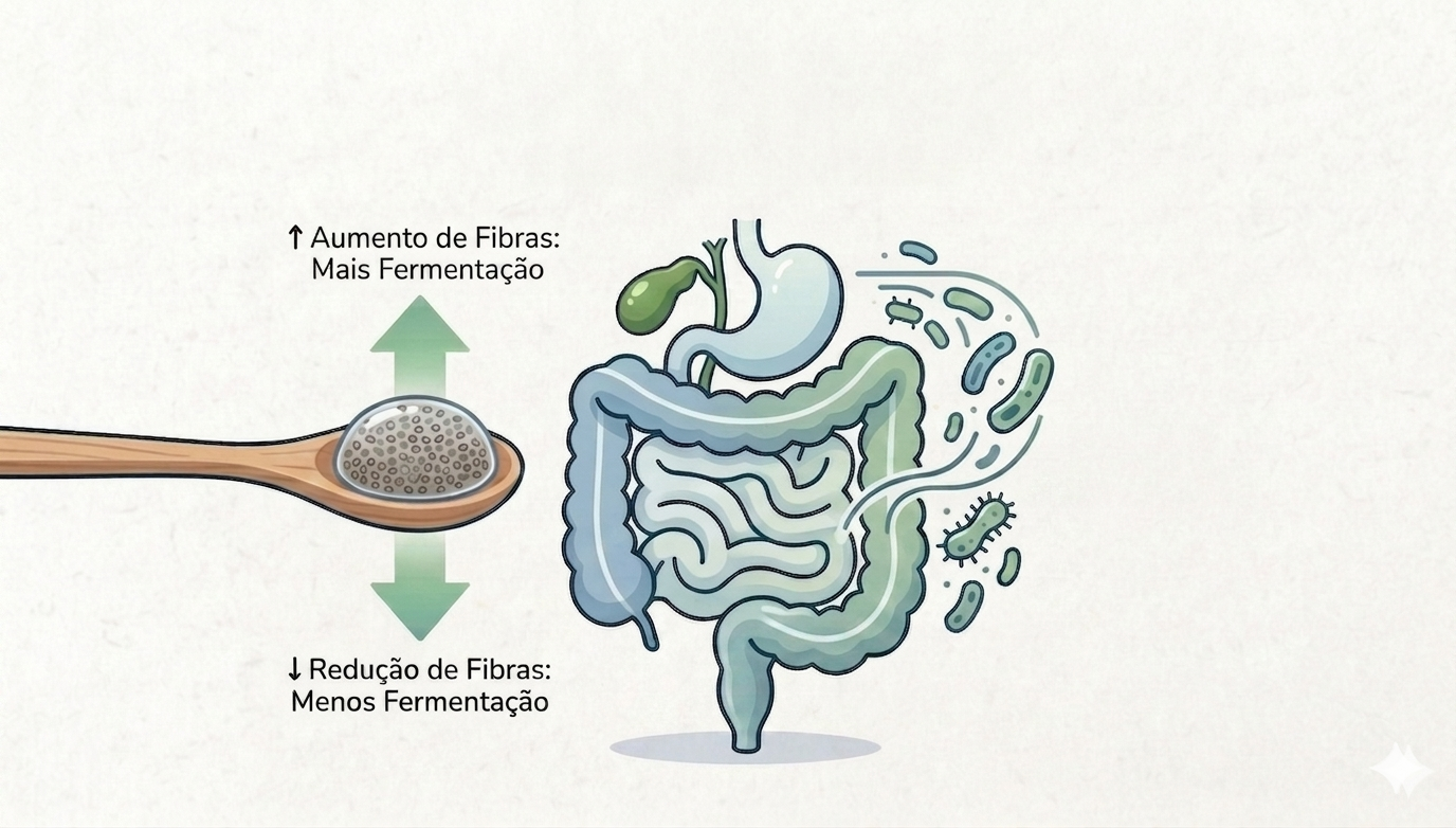A Chia e a SIBO: Uma Relação Delicada mas Potencialmente Benéfica em Documentários Infográfico ilustrando a relação delicada entre chia e SIBO, destacando como o aumento ou redução de fibras afeta a fermentação e a saúde intestinal.