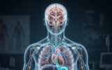 Eixo Intestino-Cérebro: Como o Intestino Influencia o Cérebro e o Humor em Biblioteca Ilustração do eixointestino-cerebro destacando a ligação luminosa entre cérebro, intestino, alimentos e microbiota.