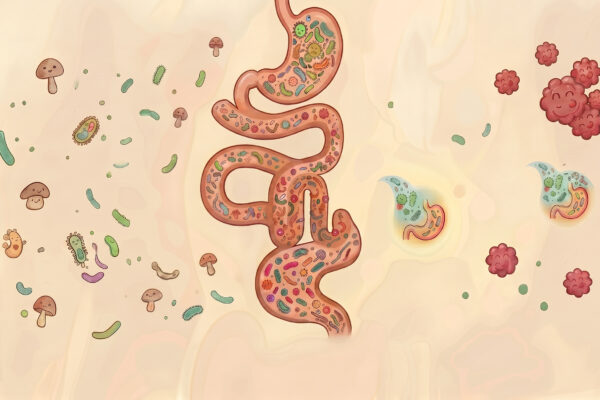 Ilustração do intestino humano com representação da microbiota intestinal, mostrando bactérias benéficas e prejudiciais, associada ao equilíbrio intestinal, disbiose e SIBO.