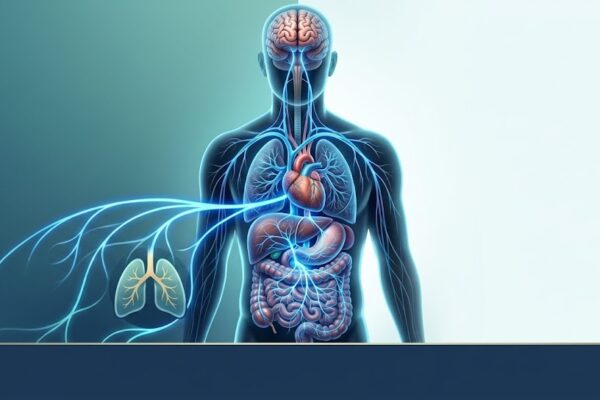 Como Ativar o Nervo Vago para Combater o SIBO e Reduzir a Inflamação em Causas Ilustração anatómica destacando o nervo vago luminoso a ligar o cérebro aos pulmões, coração e sistema digestivo.