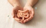 O Novo Estudo da Nature Sobre Saúde Intestinal: O Que Muda? em Tratamentos Mãos seguram um modelo simples de intestino com pequenas partículas em redor, simbolizando a saúde do microbioma.