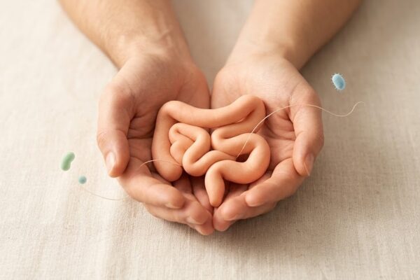 O Novo Estudo da Nature Sobre Saúde Intestinal: O Que Muda? em Tratamentos Mãos seguram um modelo simples de intestino com pequenas partículas em redor, simbolizando a saúde do microbioma.