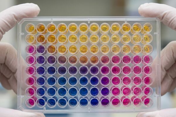 SIBO Recorrente e de Difícil Tratamento: A Causa Pode Ser o Biofilme em Notícias Close-up de mãos enluvadas segurando uma placa de microtitulação com líquidos coloridos organizados em zonas.